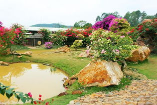 佛山 秋游盈香生態園 邊玩邊學長見識