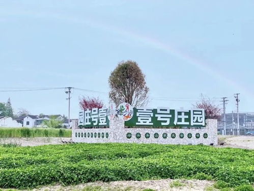 張家港人春天最正確的打開方式 馬上出發