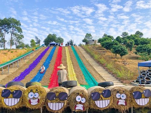 鳳崗農業(yè)生態(tài)園 省級休閑農業(yè)與鄉(xiāng)村旅游示范點的璀璨明珠