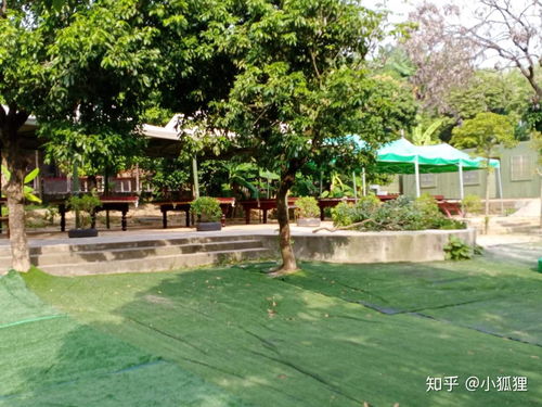 東莞萬荔生態(tài)園 企業(yè)團(tuán)建年會(huì)與休閑游玩的理想去處