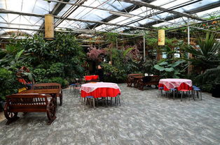 寧安農(nóng)場(chǎng)生態(tài)園 自然與農(nóng)業(yè)的和諧共生