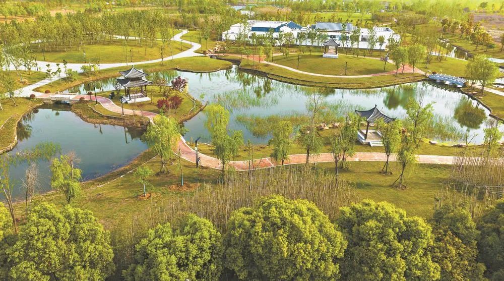 魚梁洲中央生態公園 城市綠肺煥新顏，生態園即將盛大啟幕