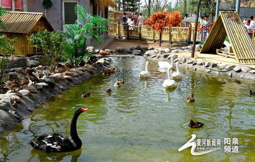 助力冬奧丨華北奕豐生態(tài)園戲雪樂園即將開園，生態(tài)旅游與冰雪運(yùn)動(dòng)完美融合