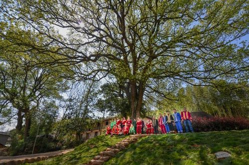浙江擘畫詩路文化新藍(lán)圖 九市聯(lián)動(dòng)，生態(tài)為基，打造中華文脈傳承創(chuàng)新帶